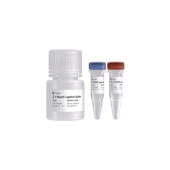 Vazyme - T4 DNA Ligase (Rapid)