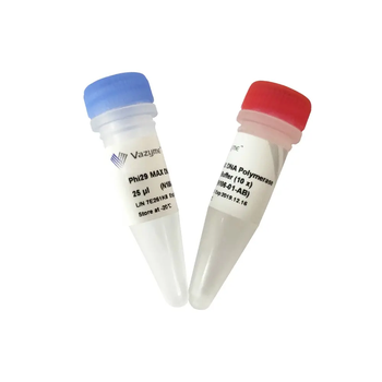 Vazyme - Phi29 MAX DNA Polymerase