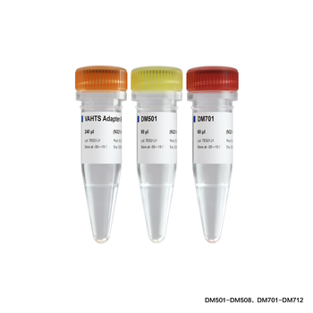 Vazyme - VAHTS Multiplex Oligos Set 4 for Illumina