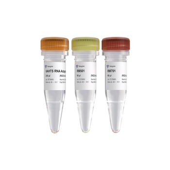 Vazyme - VAHTS RNA Multiplex Oligos Set 2 for Illumina