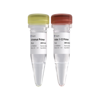Vazyme - VAHTS Small RNA Index Primer Kit for Illumina