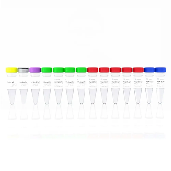 Vazyme - VAHTS Universal Plus DNA Library Prep Kit for Illumina V2