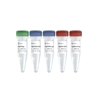 Vazyme - VAHTS Universal Circularization Kit for MGI