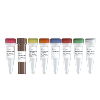 Vazyme - VAHTS Universal V10 RNA-seq Library Prep Kit (Premixed Version)