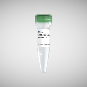 Vazyme - dTTP (100 mM)
