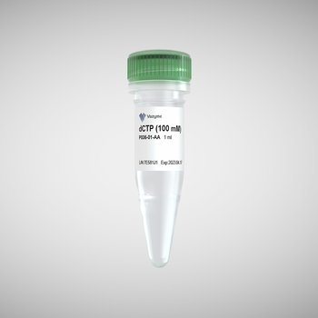 Vazyme - dCTP (100 mM)