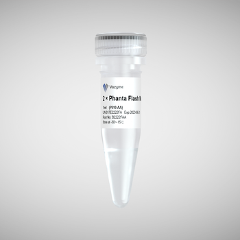 Vazyme - 2 × Phanta Flash Master Mix