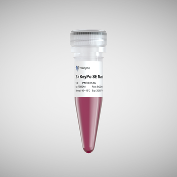 Vazyme - 2 × KeyPo SE Master Mix (Dye Plus)
