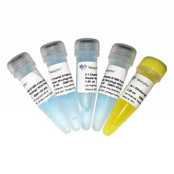 Vazyme - ChamQ SYBR Color qPCR Master Mix (High ROX Premixed)
