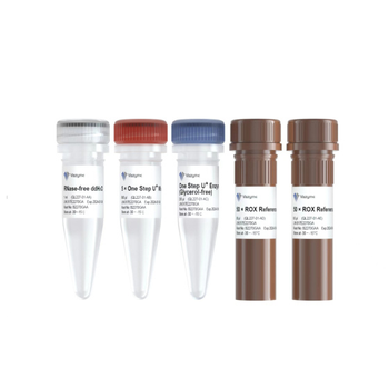 Vazyme - AccurSTART U+ One Step RT-qPCR Probe Kit (Glycerol-free)