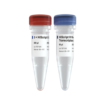 Vazyme - Hiscript III Reverse Transcriptase