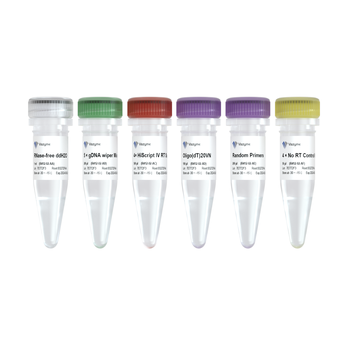 Vazyme - HiScript Ⅳ 1st Strand cDNA Synthesis Kit (+gDNA wiper)