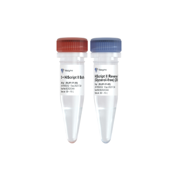 Vazyme - HiScript II Reverse Transcriptase (Glycerol-free)
