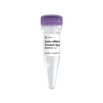 Vazyme - Ribo-clean Globin mRNA Depletion Probe Mega (Prevalent Species)