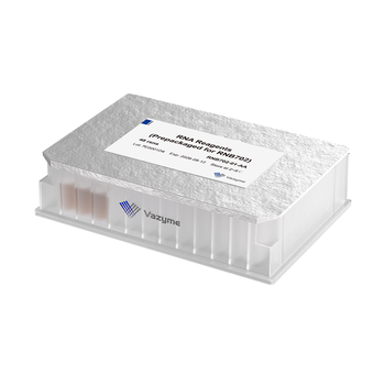 Vazyme - VAHTS mRNA Capture Beads (Ultrapure Plate)