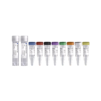 Vazyme - T7 RNAi Transcription Kit