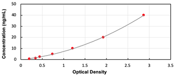 Rat AQP2 ELISA Kit
