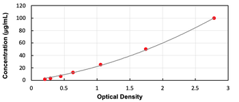 Human Hemoglobin Beta ELISA Kit (Ready to Use)