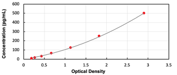 Human RHO ELISA Kit (Ready to Use)