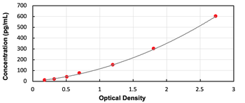 Rat CALB ELISA Kit (Ready to Use)