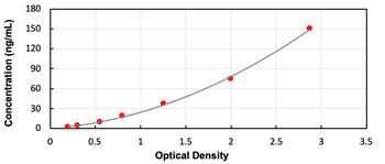 Rat Cystatin C ELISA Kit (Ready to Use)