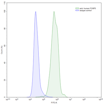 FOXP3 Monoclonal Mouse Monoclonal Antibody