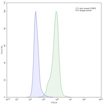 FOXP3 Monoclonal Mouse Monoclonal Antibody