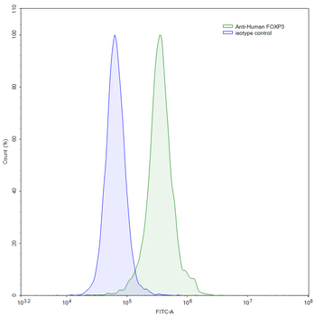 FOXP3 Monoclonal Mouse Monoclonal Antibody