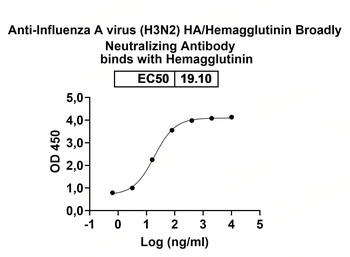 Influenza A virus (H3N2) HA/Hemagglutinin Broadly Neutralizing Human Monoclonal Antibody