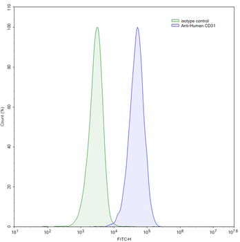 CD31/PECAM1 Mouse Monoclonal Antibody