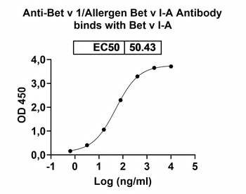 Bet v 1/Allergen Bet v I-A Mouse Monoclonal Antibody