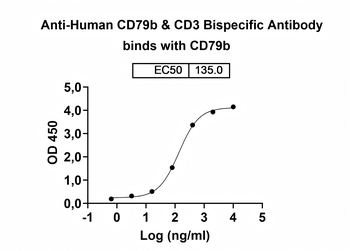 CD79b/CD3 Monoclonal Antibody