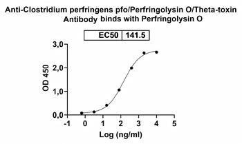 Clostridium perfringens pfo/Perfringolysin O/Theta-toxin Mouse Monoclonal Antibody