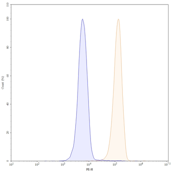 CD40/TNFRSF5 Human Monoclonal Antibody
