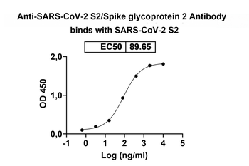 SARS-CoV-2 S2/Spike glycoprotein 2 Mouse Monoclonal Antibody
