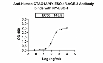 CTAG1A/NY-ESO-1/LAGE-2 Mouse Monoclonal Antibody