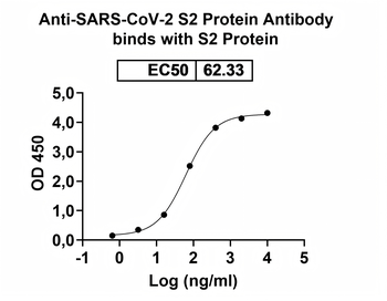 SARS-CoV-2 S2 Protein Human Monoclonal Antibody