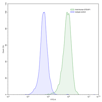 STEAP1 Human Monoclonal Antibody