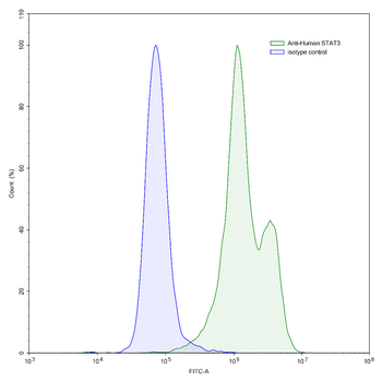 STAT3 Human Monoclonal Antibody
