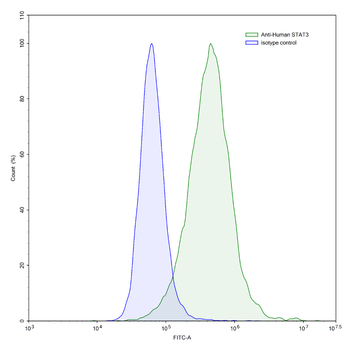 STAT3 Human Monoclonal Antibody