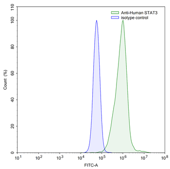 STAT3 Human Monoclonal Antibody