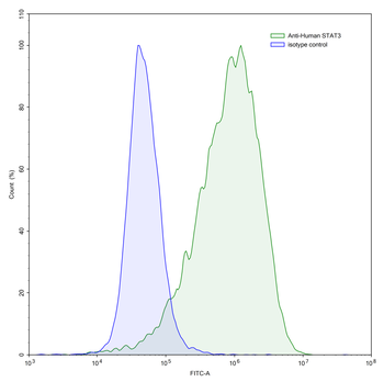 STAT3 Human Monoclonal Antibody