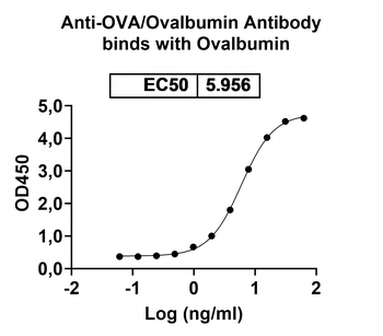OVA/Ovalbumin Human Recombinant Antibody