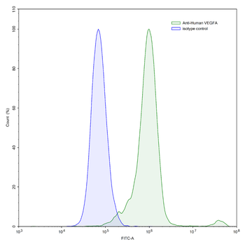 VEGFA Rabbit Monoclonal Antibody