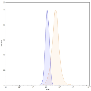CD228/MELTF Human Monoclonal Antibody