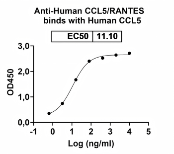 CCL5/RANTES Human Monoclonal Antibody