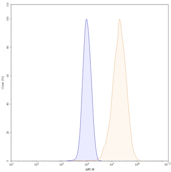 CSF1/M-CSF Human Monoclonal Antibody