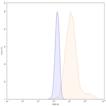 IFNG/IFN-gamma Human Monoclonal Antibody