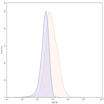 IFNG/IFN-gamma Human Monoclonal Antibody