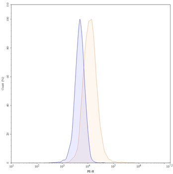 ARG2/Arginase II Mouse Monoclonal Antibody